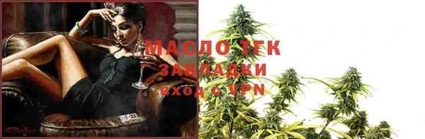 шишки Коряжма