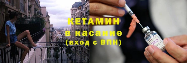 шишки Коряжма