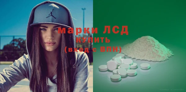 шишки Коряжма