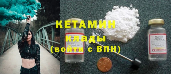 шишки Коряжма